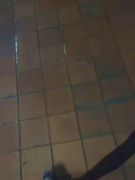 Cam4 Live Sex of Outdoorsd