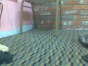 Cam4 Free Porn Cam of hughmungusbc