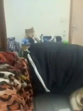 Cam4 Best live sex cam show of lucas3222