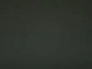 Cam4 Free Live Porn of delpuerto4