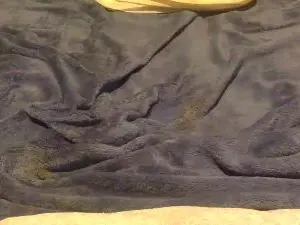 Cam4 Sex Chat of Theplayfun