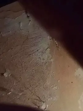 Cam4 Live Sex of Slutddy