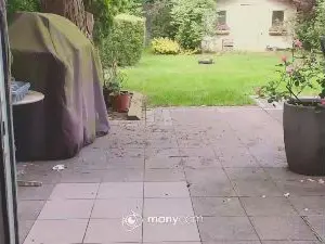 Cam4 Live Porn of string_boy42