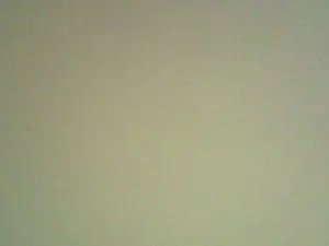 Cam4 Sex Chat of yalamania