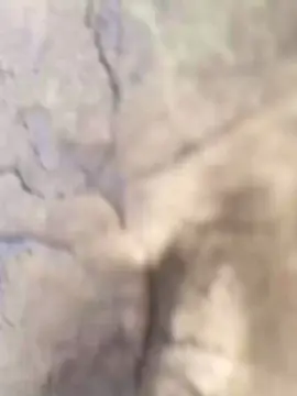 Cam4 Sex Cam of Blackdeedong
