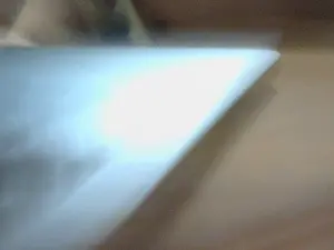 Cam4 Adult Webcam of tomato_1