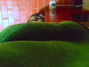 Cam4 Watch Live Sex Cams of johan70sexy