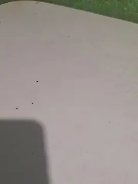 Cam4 Sex Chat of rickcba