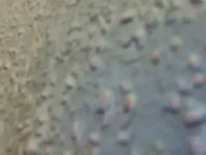Cam4 Live Sex Cam of cumdock4u
