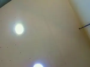Cam4 Sex Cam of maxim_rod
