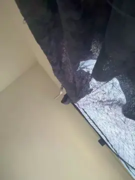 Cam4 Live Porn of Senhornunes
