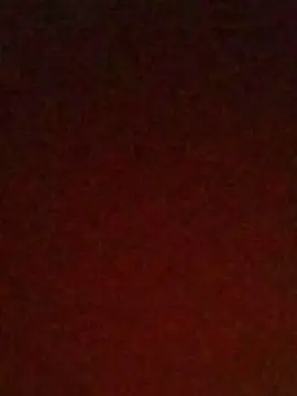 Cam4 Free Live Porn of Gatagostosa231