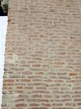 Cam4 Free Live Porn of Qatar_Cardozo