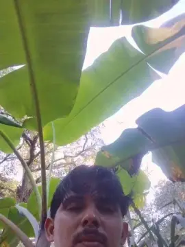 Cam4 Live Porn of Casadodotado21