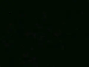Cam4 Adult Video Chat of sfrittola