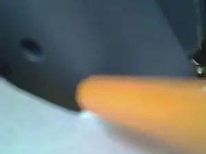 Cam4 Sex Chat of Talniceman49