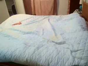Cam4 Free Live Porn of andbay1