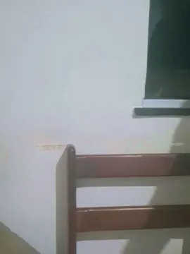 Cam4 Sex Cam of LirioBr