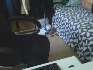 Cam4 Live Porn of Kevinareux60