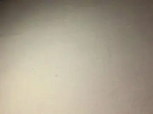 Cam4 Free Live Porn of Javierapalacios