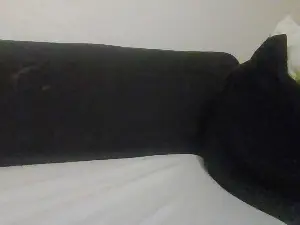 Cam4 Free Porn Cam of kingest76