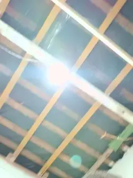 Cam4 Sex Cam of cachorrosolto1