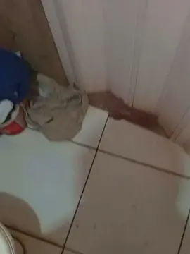 Cam4 Live Sex Cam of Abinsexo