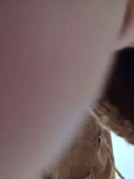 Cam4 Live Porn of 22cmBigCockMilk