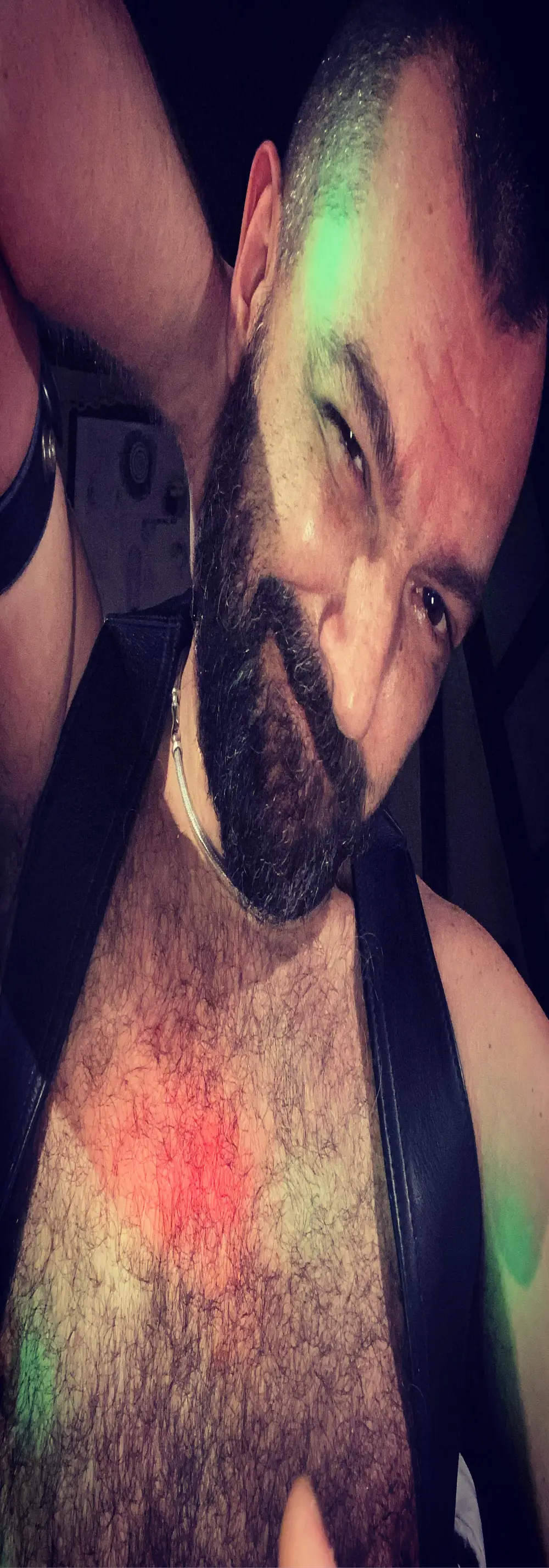 daddybearmadri5