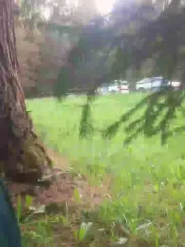 Cam4 Nude Webcam of sumis24