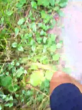 Cam4 Adult Webcam of saarman33