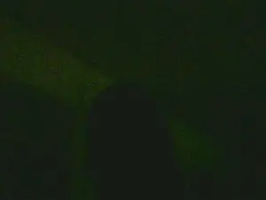 Cam4 Sex Cam of mnchner