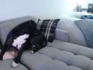 Camsoda Sex Cam of misslauriemichelle