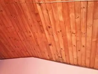 Camsoda Best Webcam of emmygomez
