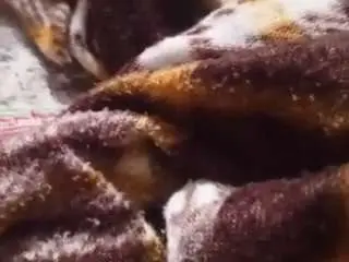 Camsoda Free Live Porn of rockojsj