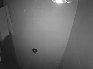 Camsoda Live Sex Cam of voyeurcam-casa-salsa-bathroom-11