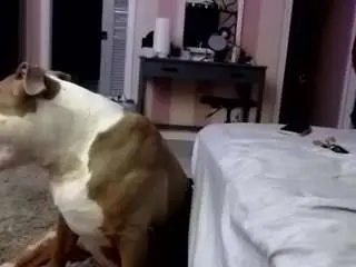 Camsoda Sex Cam of 1800fu