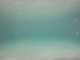 Camsoda Adult Webcam of voyeurcam-casa-salsa-pool-1