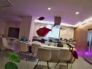 Camsoda Sex Chat of voyeurcam-casa-salsa-fishtank