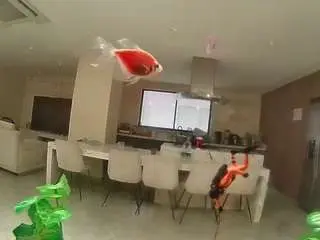 Camsoda Free Live Porn of voyeurcam-casa-salsa-fishtank