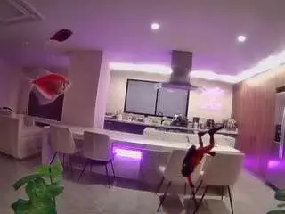 Camsoda Adult Webcams of voyeurcam-casa-salsa-fishtank