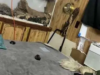 Camsoda Sex Cam of alanahsinns