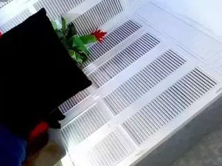 Camsoda Private Sex Chat of big-sexy-girl01