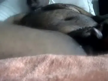 Chaturbate Adult Video Chat of muchduks