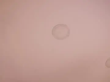 Chaturbate Private Sex Chat of abby_me