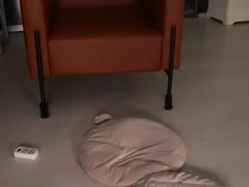 Chaturbate Free Live Porn of seeunexttime