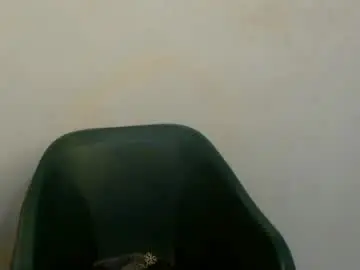 Chaturbate Sex Cam of fariha_babyy