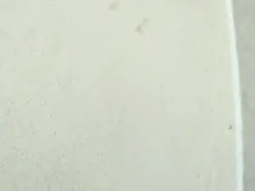 Chaturbate Live Sex Cam of birbikrom104