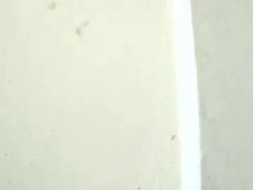 Chaturbate Free Live Porn of birbikrom104