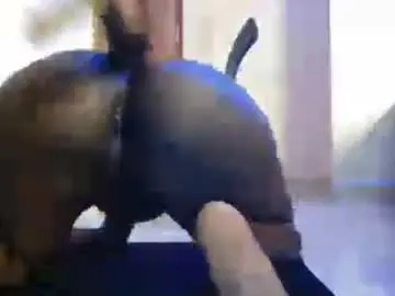 Chaturbate Sex Chat of kimberly_chloe